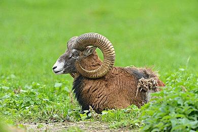 SE警告《最终幻想14》新拓展上线服务器可能会拥堵 30分钟不活跃自动下线