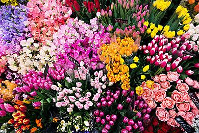 《永世必死》今日登录主机与PC